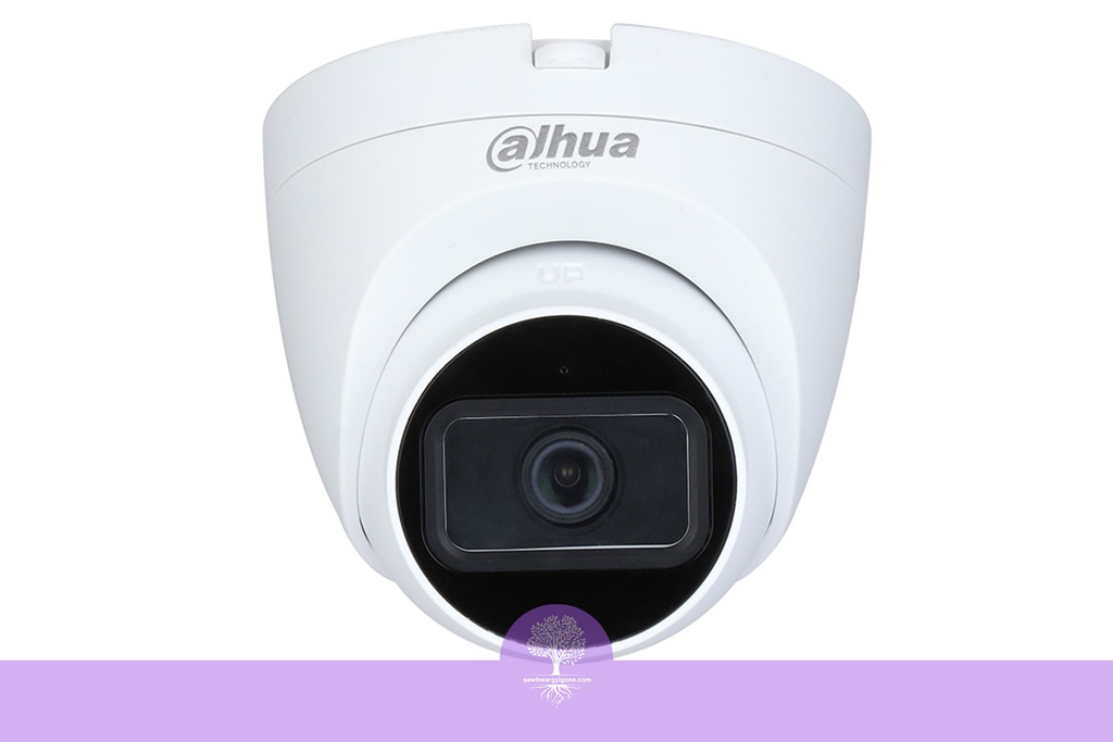 Dahua HDCVI Camera (2MP, IR, Dome, 3.6mm, MIC)