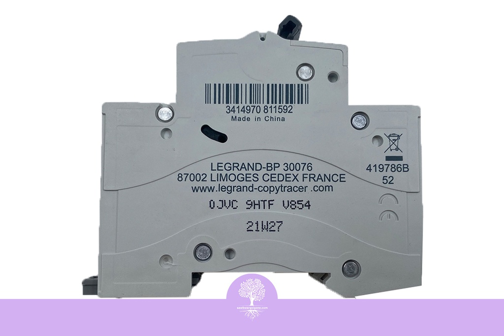 LEGRAND RX3 MCB 2P B20 6000A