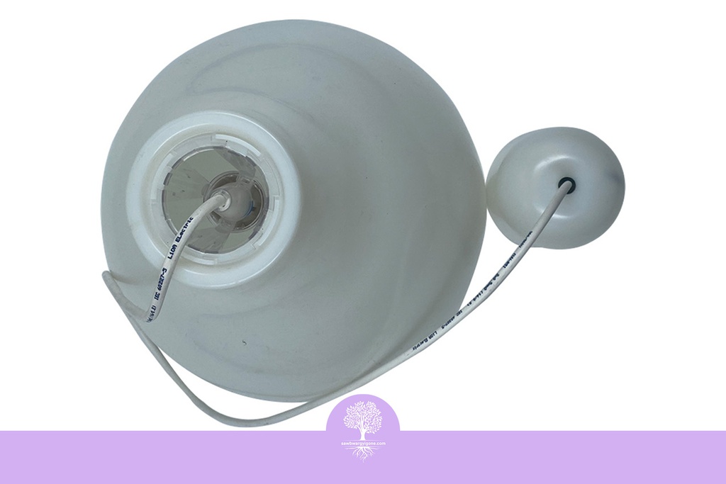 Lioa Moonlight Pendant
Lighting