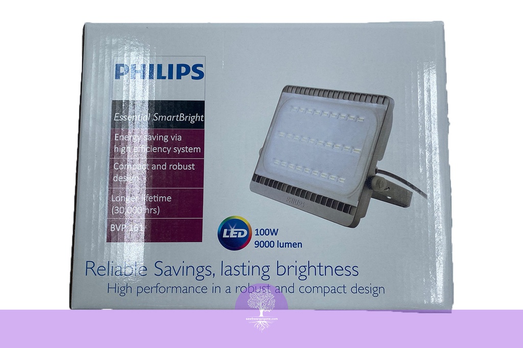 100W PHILLIPS LED Flood Light Cool White