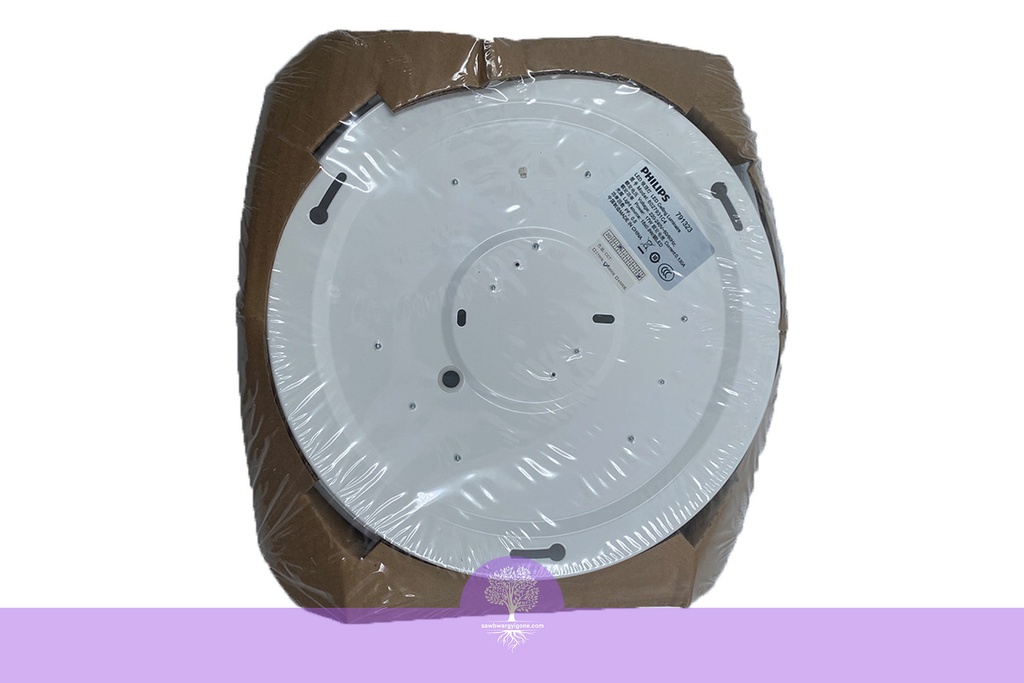 17W 65K PHILLIPS LED Ceiling Light CL200 Daylight Series