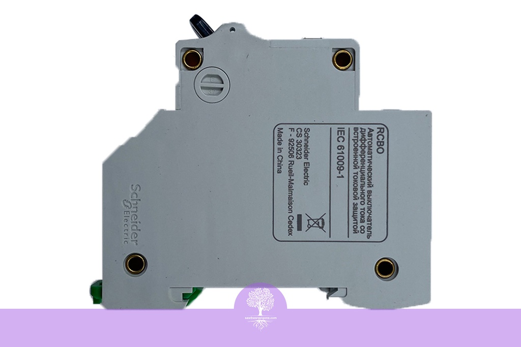 2Pole, 10A, 4.5kA, Easy9, C Curve RCBO Breaker