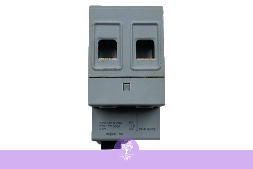 2Pole, 63A, 300mA, Easy9, AC Type, RCCB Breaker