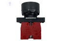 PGF-F12-R PUSH BUTTON SWITCH (Ø22) (Red)