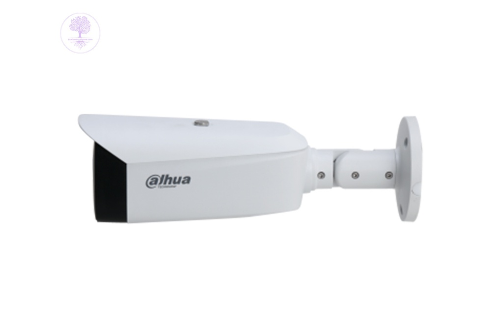 Dahua TIOC Bullet Camera (4 MP Smart Dual Illumination Active Deterrence Eyeball WizSense Network Camera)