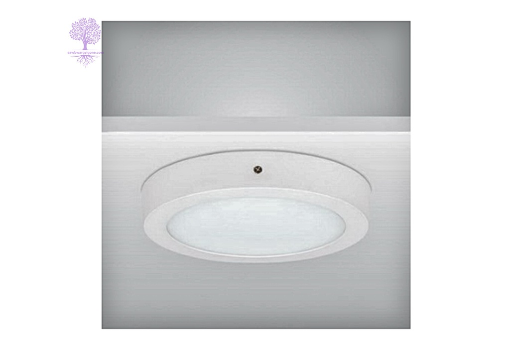 12W, Daylight LUMAX SURFACE PANEL LIGHT (Circle)