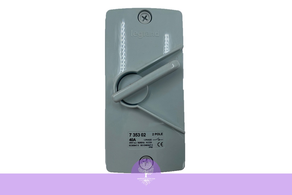 2P, 20A, ISOLATOR SWITCH, AC22, LEGRAND