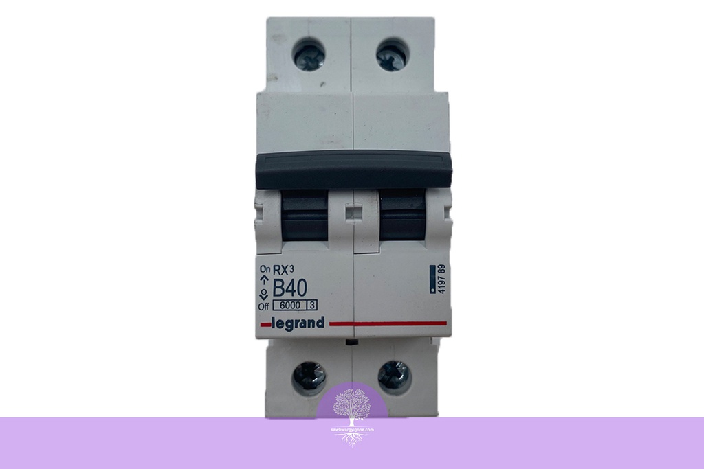 2P, B32, 6000A, RX3, LEGRAND MCB