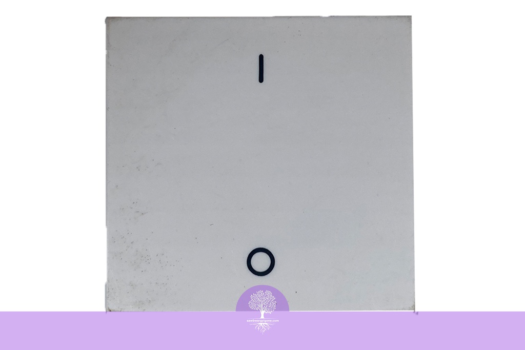 2M, 20A, 1W, DP SQ WH, LEGRAND