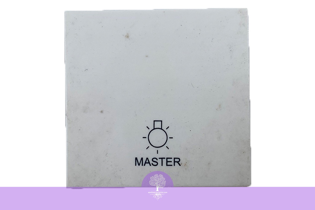 MASTER PUSH FOR LIGHTS 2M SQM, LEGRAND 