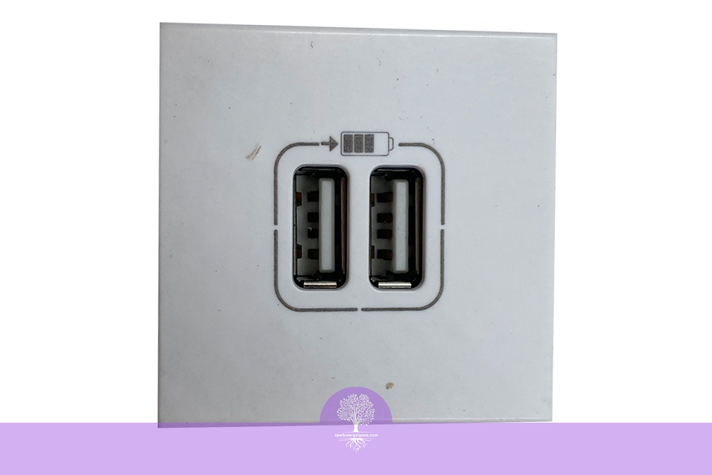 2USB, 1500 CHARGE SOCKET SQU WH, LEGRAND Arteor (2 Module Space)
