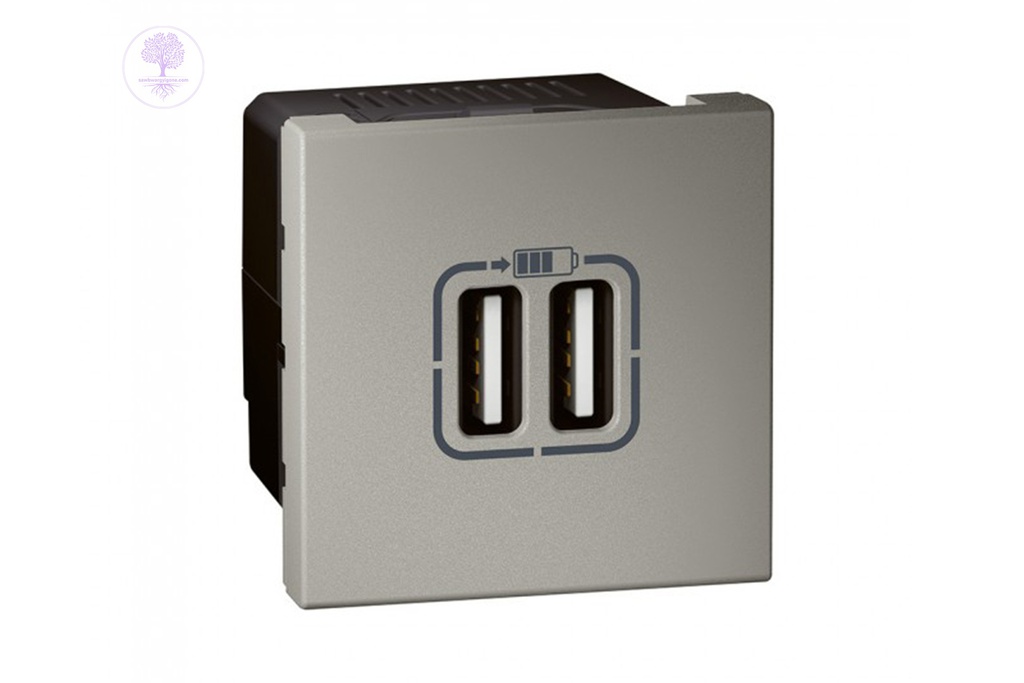 2USB, 1500, MAG, CHARGE, SOCKET SQ, LEGRAND
