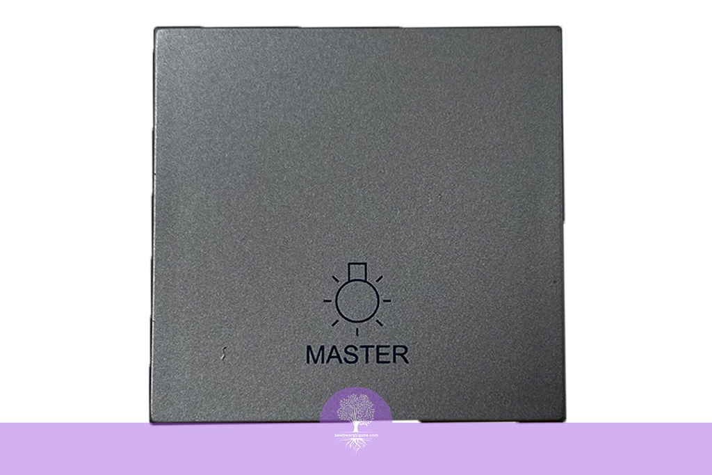 MASTER PUSH FOR LIGHTS 2M SQM Magnesium, LEGRAND 