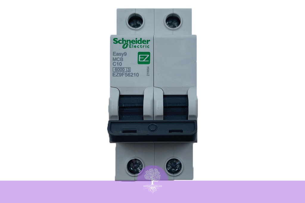 2P, 10A, 6kA, Easy9, C Curve, Schneider MCB Breaker