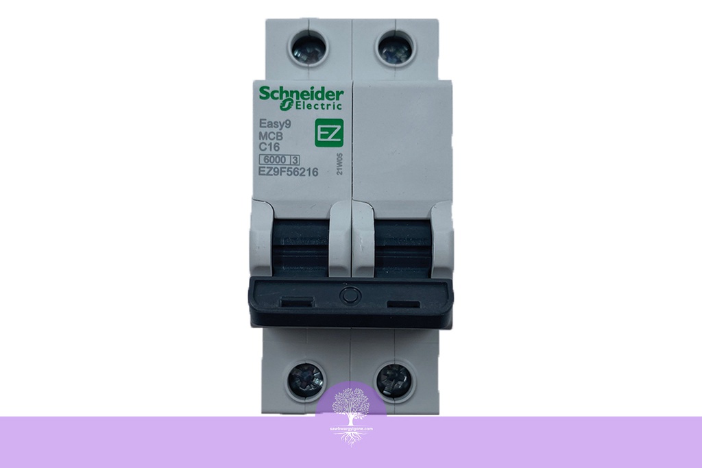 2P, 16A, 6kA, Easy9, C Curve, Schneider MCB Breaker