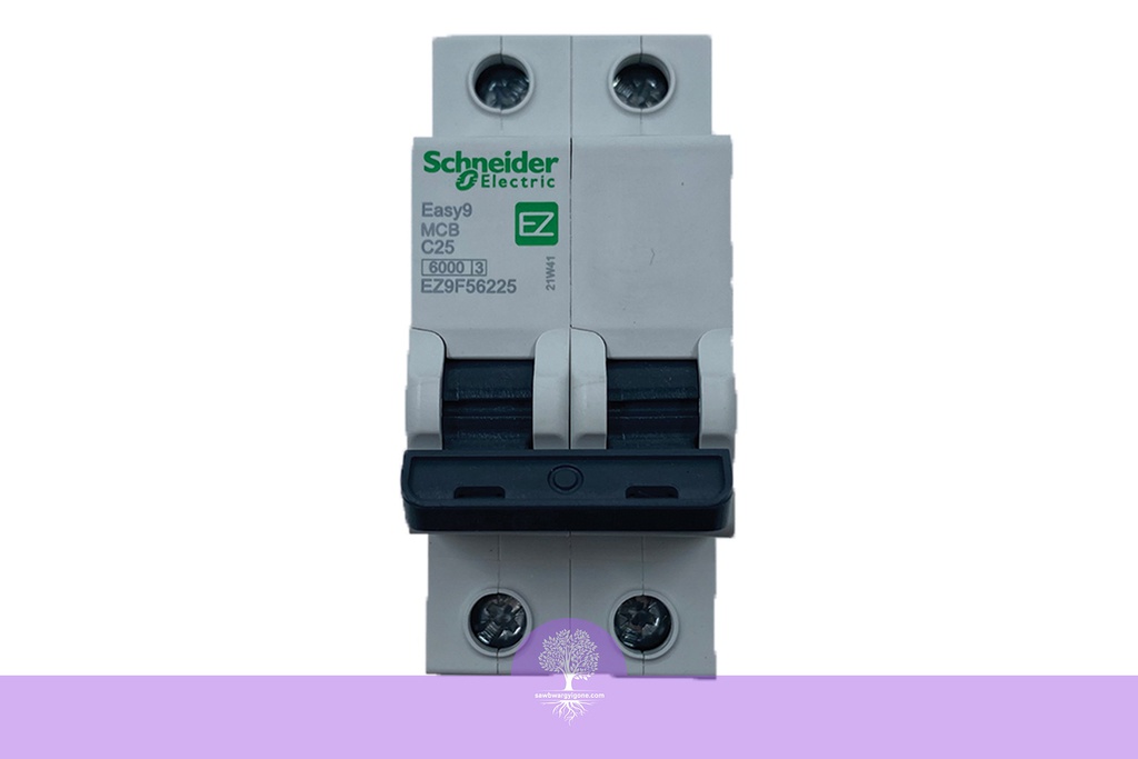 2P, 25A, 6kA, Easy9, C Curve, Schneider MCB Breaker