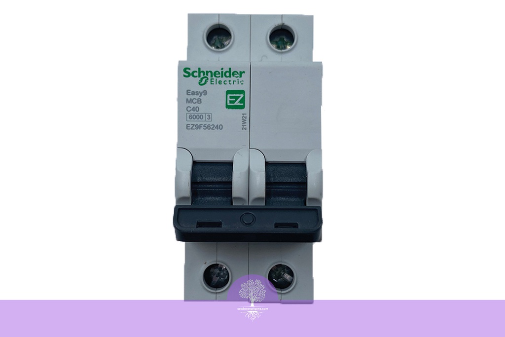 2P, 40A, 6kA, Easy9, C Curve, Schneider MCB Breaker