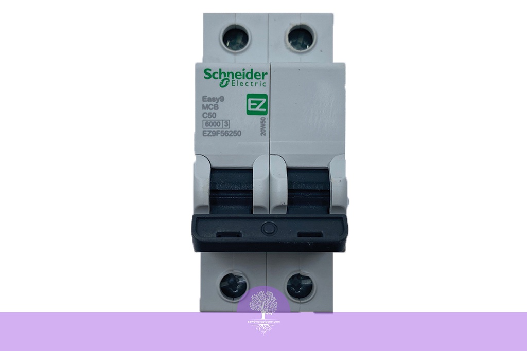 2P, 50A, 6kA, Easy9, C Curve, Schneider MCB Breaker