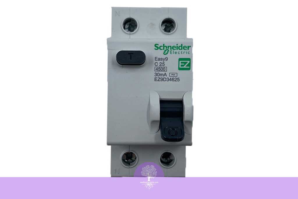 2P, 25A, 4.5kA, Easy9, C Curve, Schneider RCBO Breaker