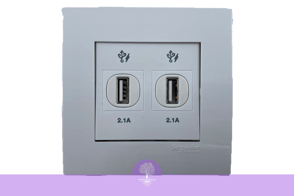 2 x 2.1A, USB Charger Socket Wall Mounted, Schneider, Vivace Series 
