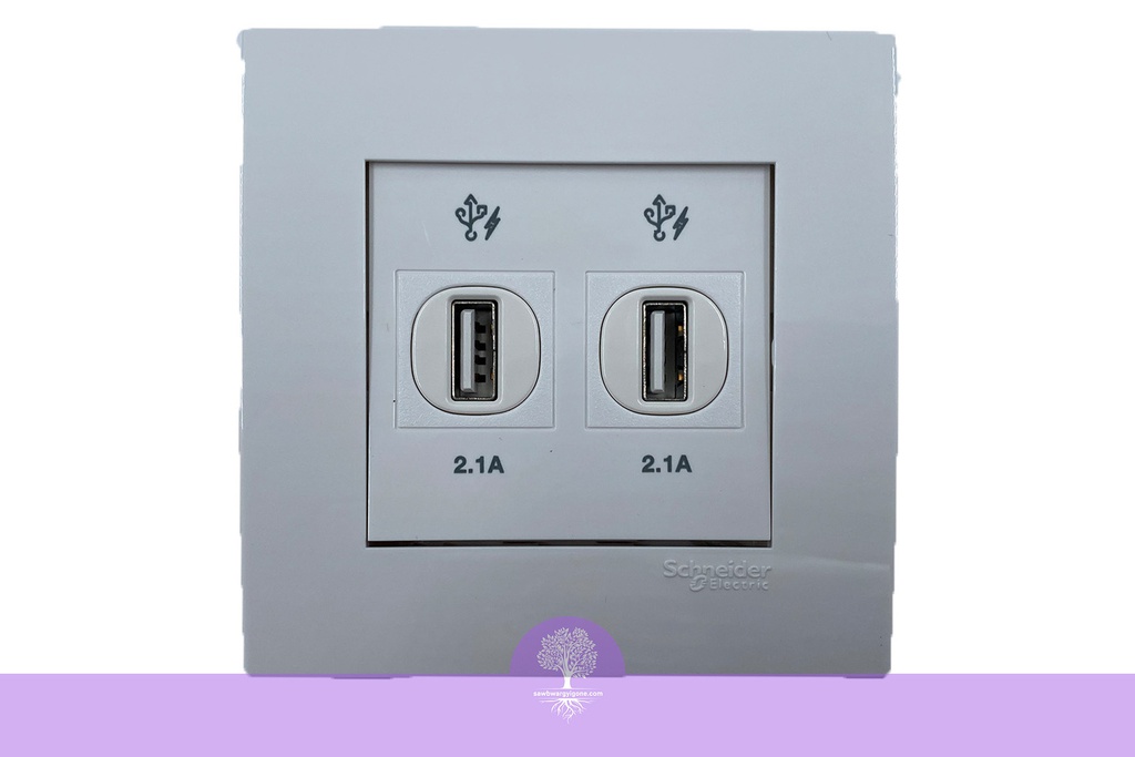 2 x 2.1A, USB Charger Socket Wall Mounted, Schneider, Vivace Series 