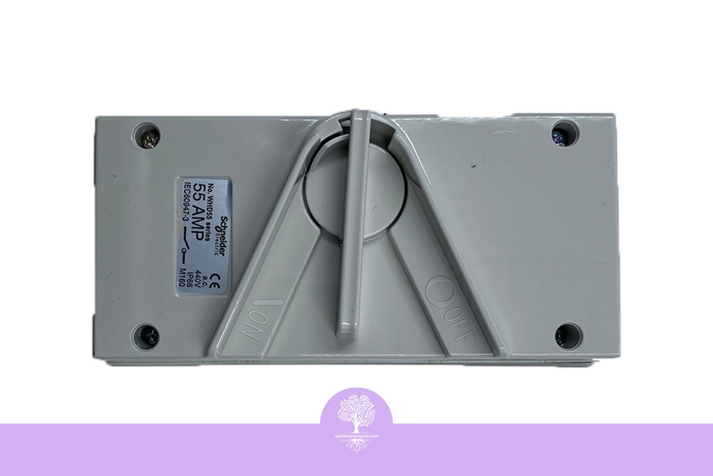 2P, 55A, Surface Mount Isolating Switch, IP66, 440V, Schneider Isolator Wheatherproof