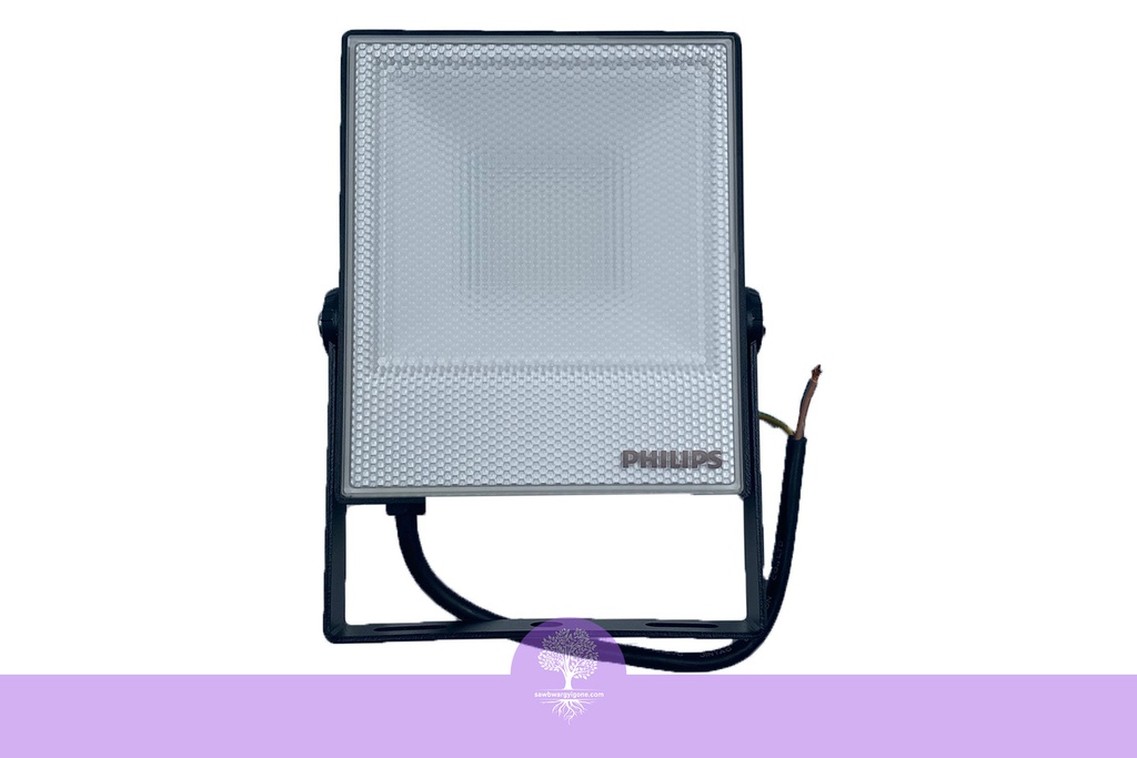 30W, 6500K, PHILIPS, IP65 LED Flood Light (Cool White)