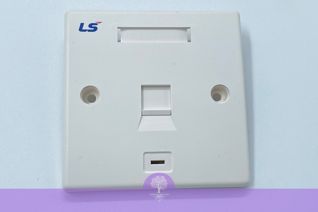 1-Port LS Simple British Face Plate W/ Shutter & Icon