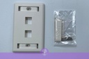 [LS-FP-US-2PORT] 2-Port LS Simple Single Gang Face Plate US/Vertical type 