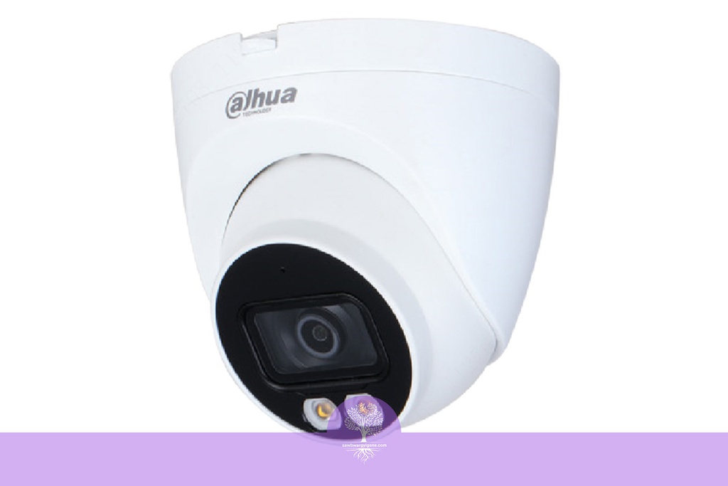 4MP, Full Color, Dome, 3.6mm, Dahua, IP Camera (Lite Series)