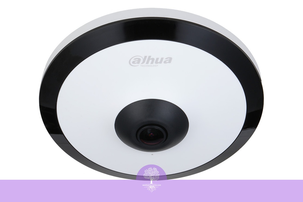 5MP, IR Fisheye, Dahua, IP Camera (WizMind Series)