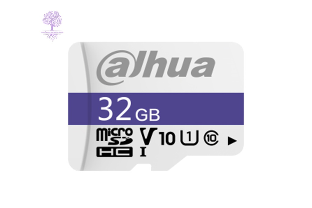 32GB, Dahua, C100 MicroSD Memory Card