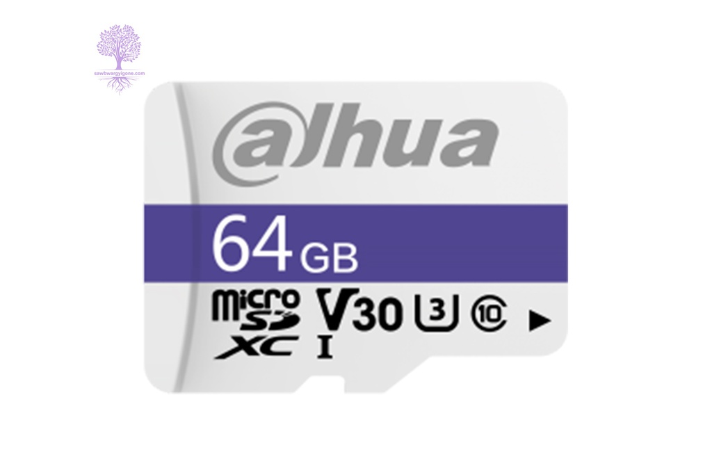 64GB, Dahua, C100 MicroSD Memory Card