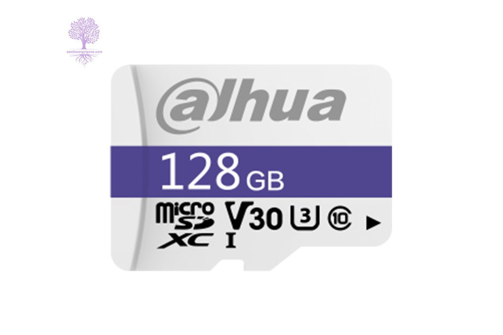 128GB, Dahua, C100 MicroSD Memory Card