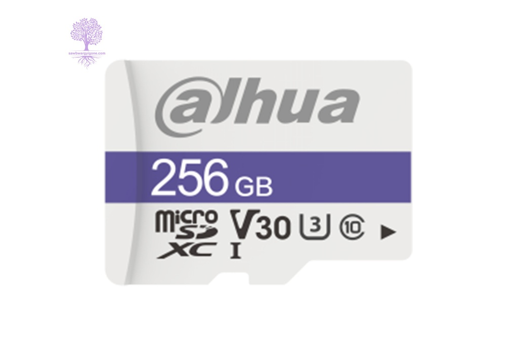 256GB, Dahua, C100 MicroSD Memory Card