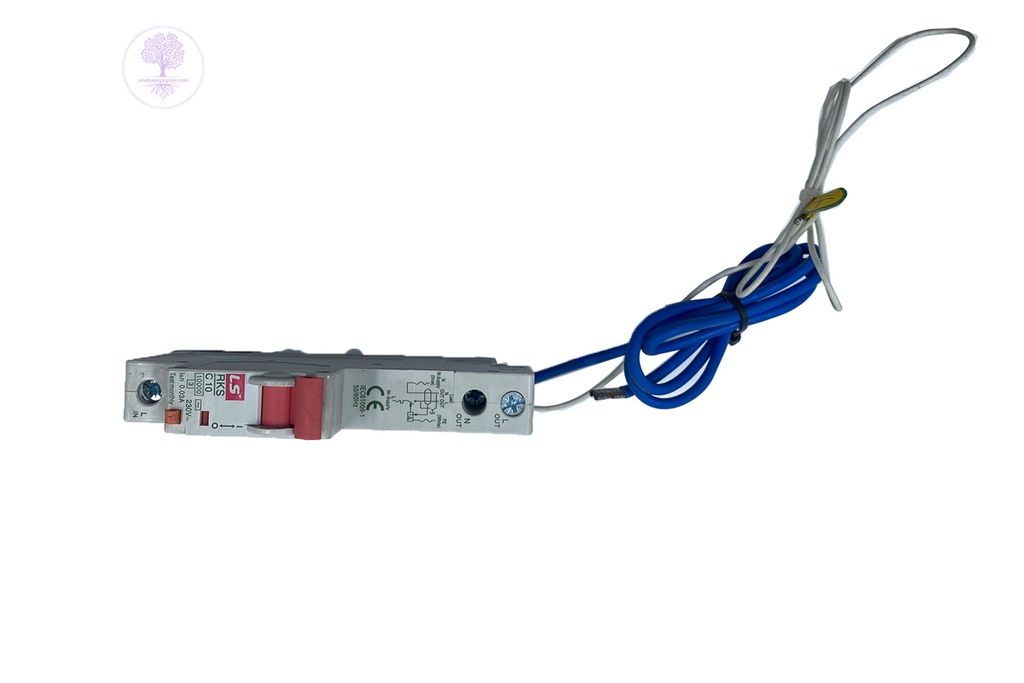 1P+N, C10A, RKS, AC-TYPE, 30mA, LS IS NEW ROGY 