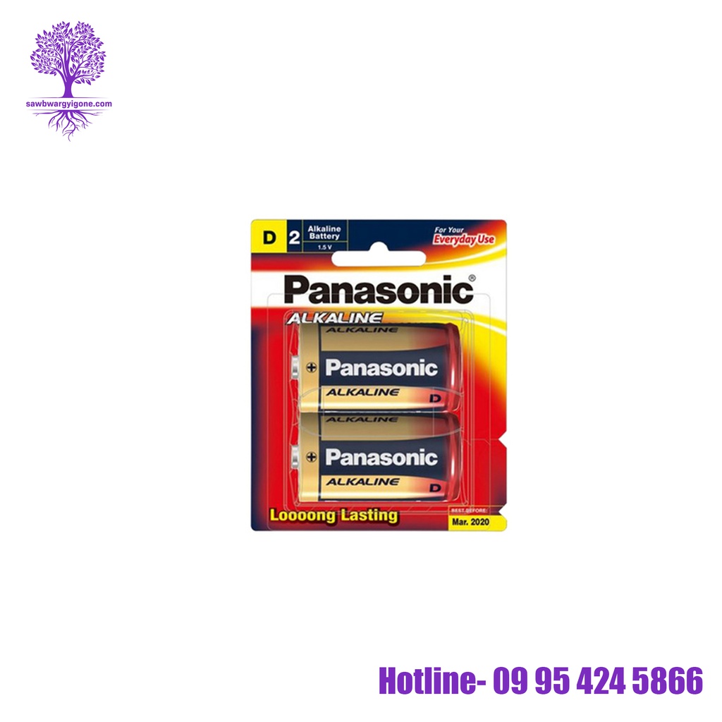 LR20T/2B, Panasonic, Alkaline , D Size (2Pcs)