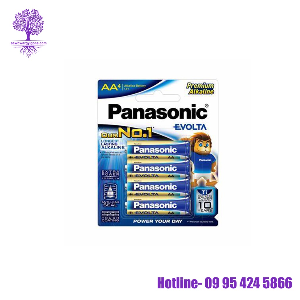 LR6EG/4B, Panasonic, Premium Alkaline EVOLTA Battery, AA Size (4Pcs)