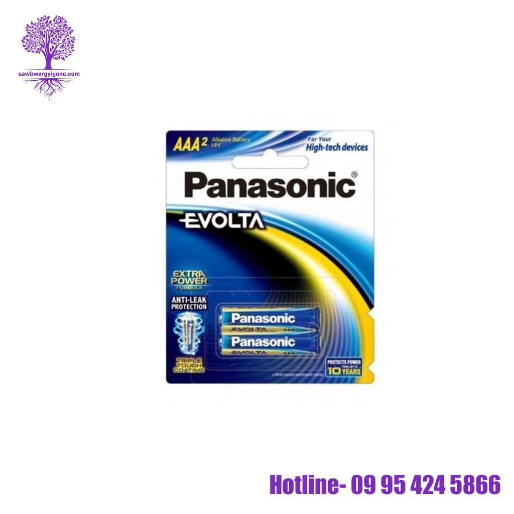 LR03EG/2B, Panasonic, Premium Alkaline EVOLTA Battery, AAA Size (2Pcs)