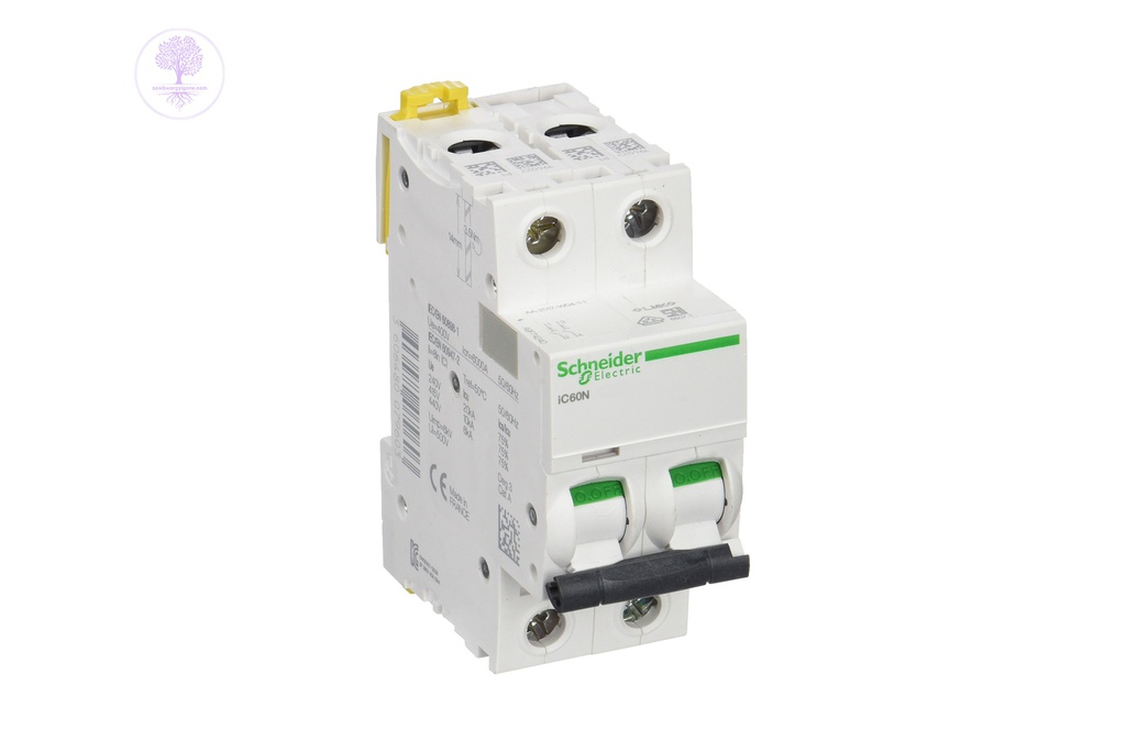 2P, 20A, C-Curve, IC60N, Acti 9, Schneider MCB