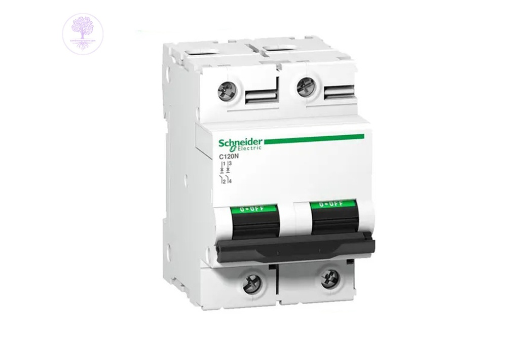 2P, 80A, C-Curve, C120N, 10kA, 415V, Schneider MCB