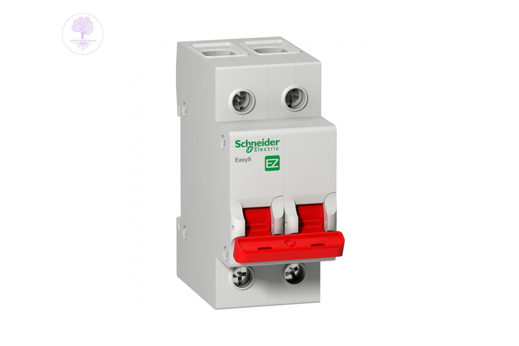 2P, 80A, 230V, Schneider Easy9 Switch Disconnector 