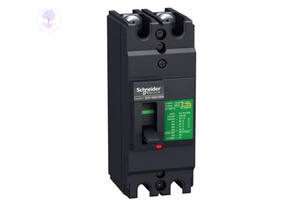 2P, 100A, 36kA, MG EZC250H, Schneider MCCB  