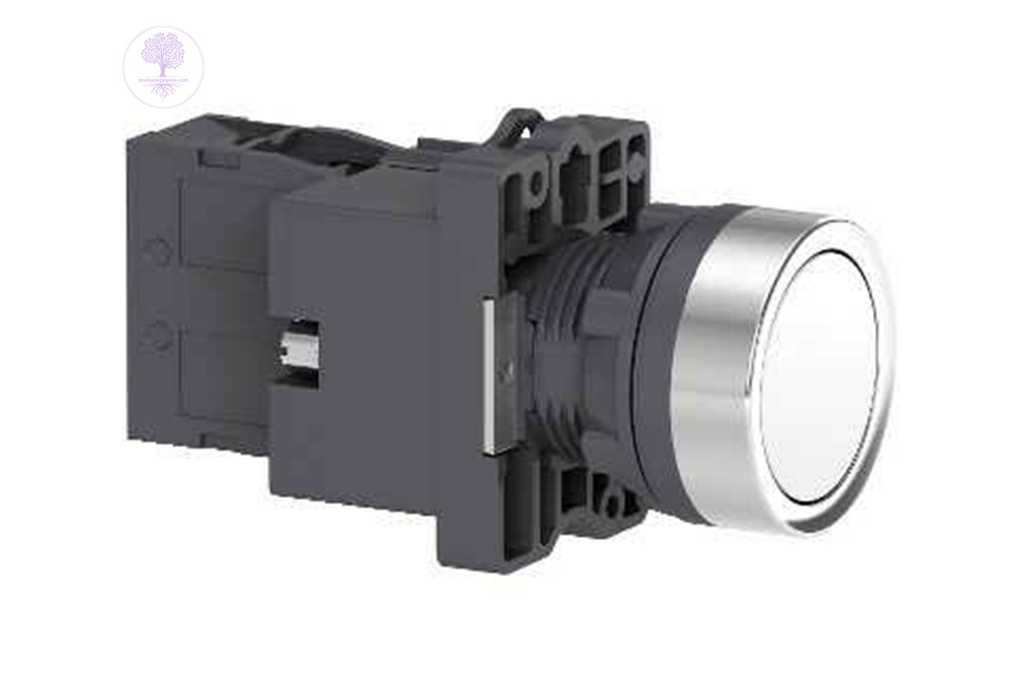 1NO, 24V AC/DC, IPB, White, Schneider 