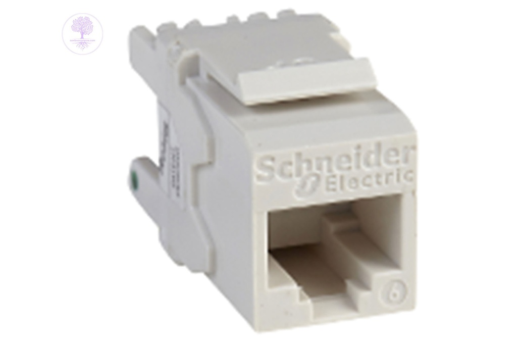 Cat6, White, Schneider UTP Keystone Jack