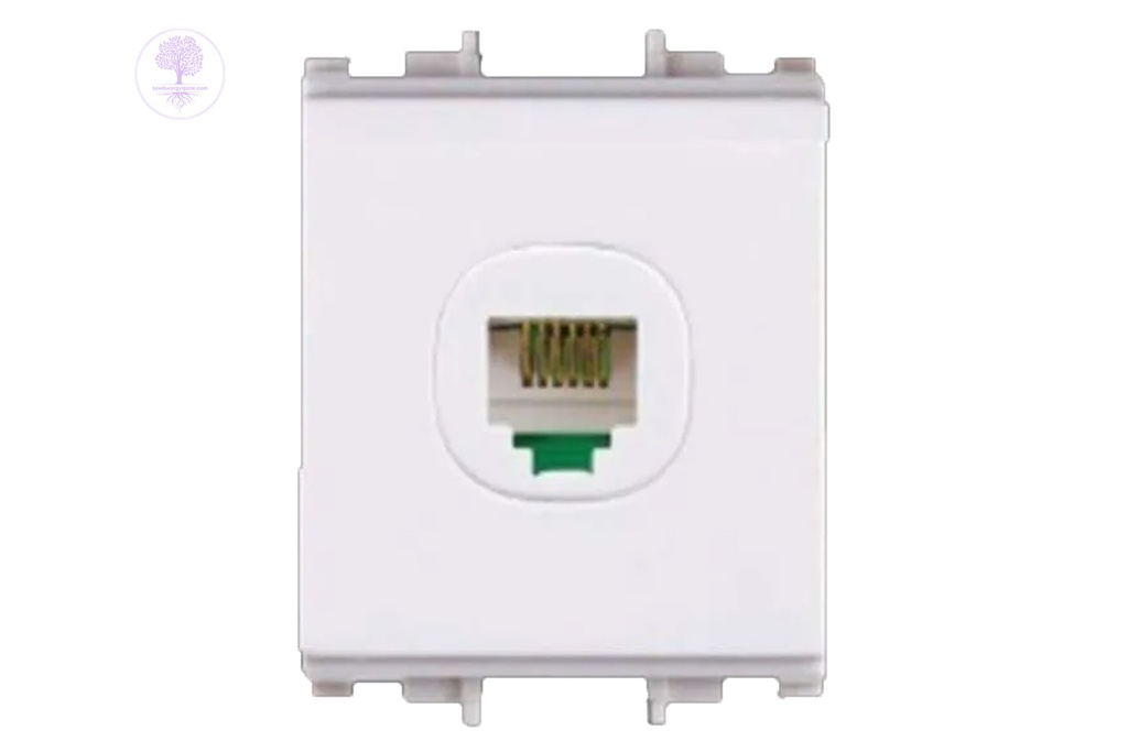 1G, C-FLEXI, Schneider Data Communication Outlet 