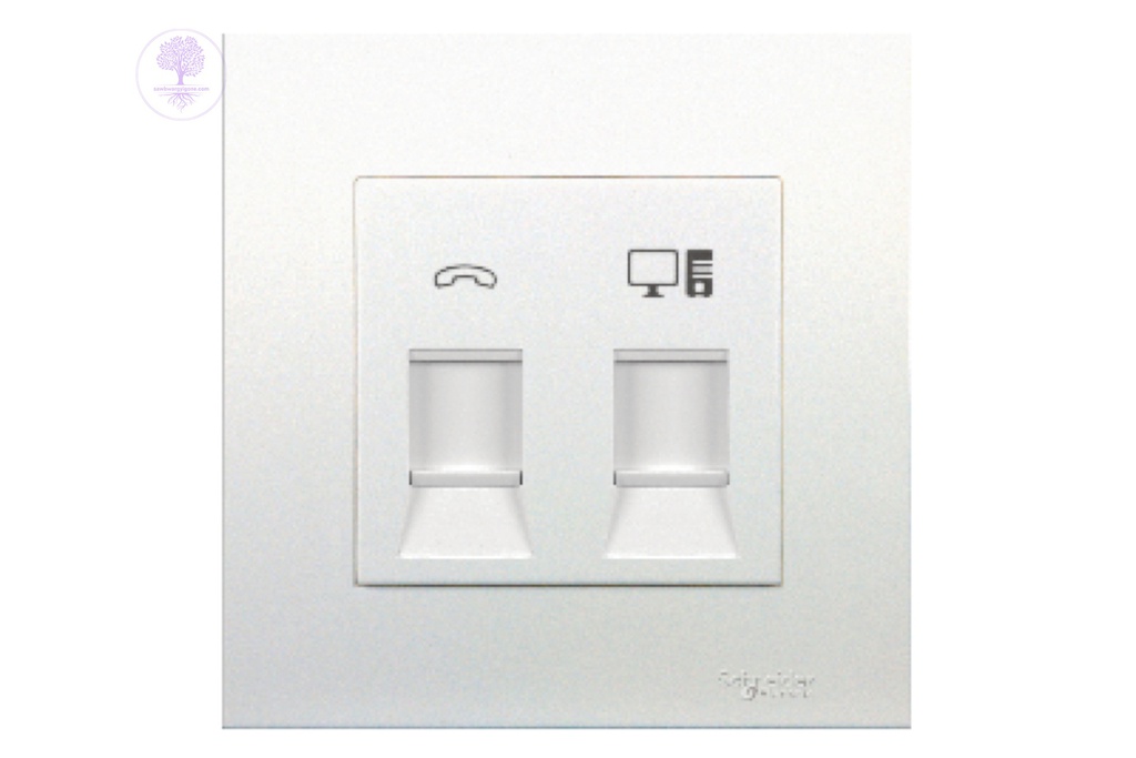 1Gang Schneider Telephone + Cat5e Data Outlet with Shutter