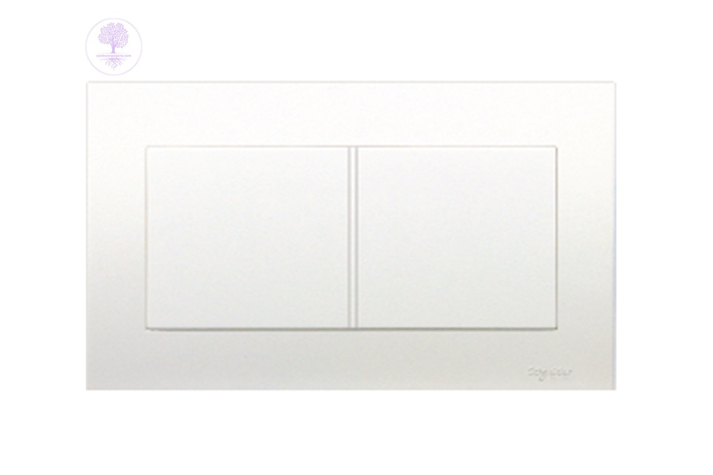 Twin Gang Schneider Blank Plate (Cover Frame)