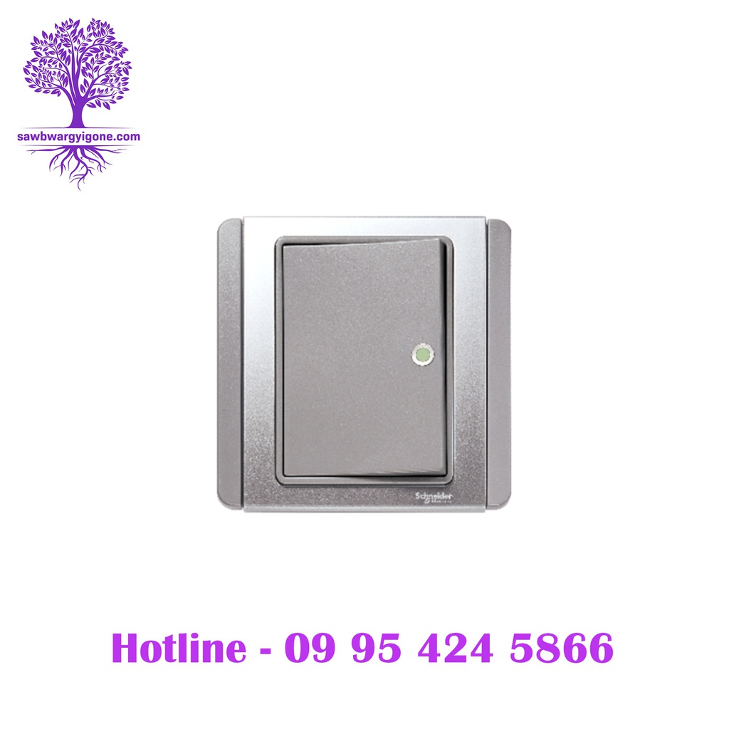 1Gang, 2way, Schneider Horizontal Dolly Switch with Green Fluorescent Indicator