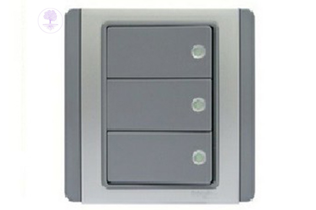 3Gang, 1way, Schneider Horizontal Dolly Switch with Green Fluorescent Indicator